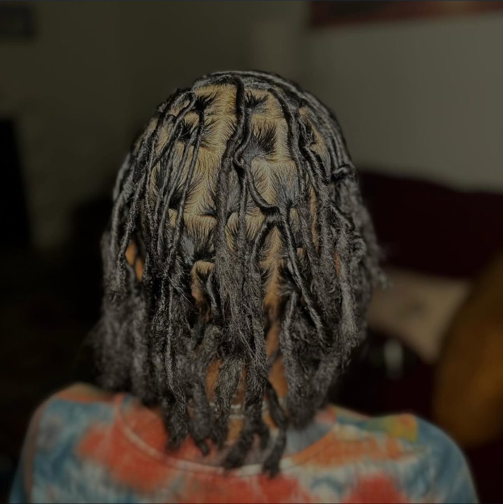 Starter Locs