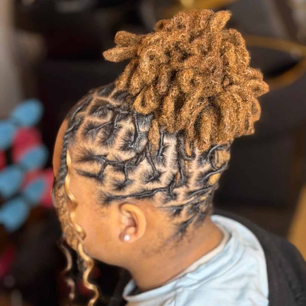 Loc Style at MsLadyL Salon in Virginia Beach, VA