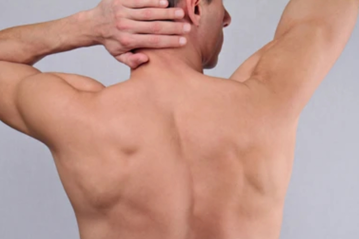 Back