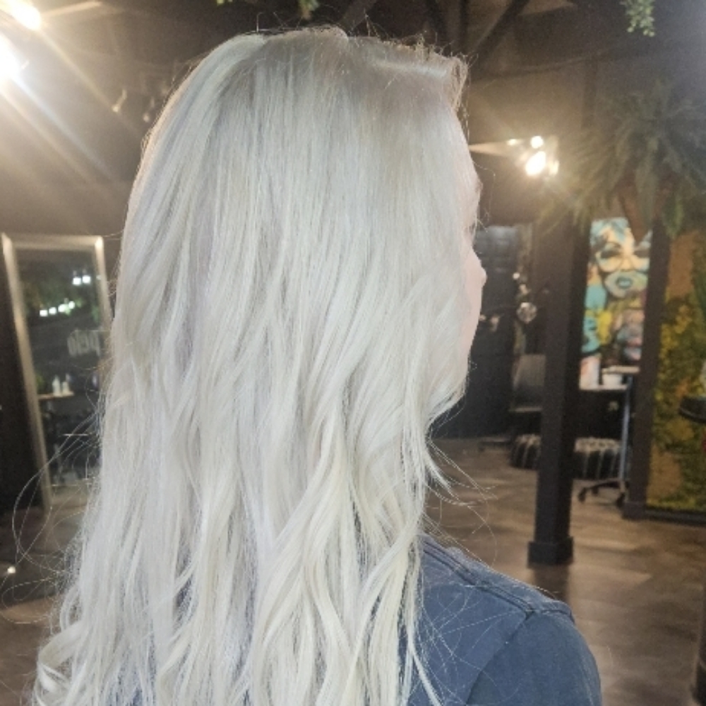 Bleach Regroth at The Naked Truth Studio LLC @ Pelo Beauty Collective in Middletown, KY