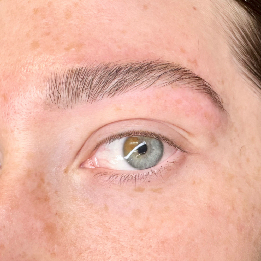 Brow Wax at Highbrow Beauty, Inc. in Framingham, MA