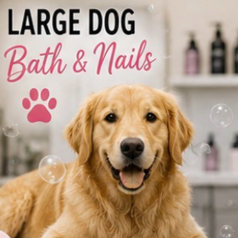 Large Dog Bath & Nails at Pampered Pups By Helen in Chino Hills, CA