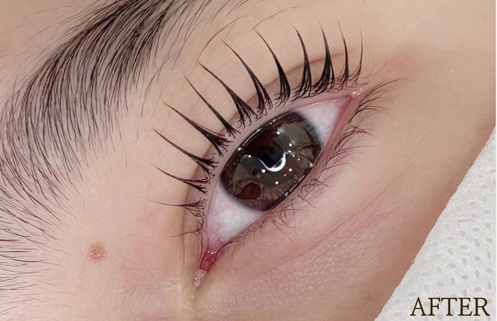 Korean Keratin Lash Lift + Tint