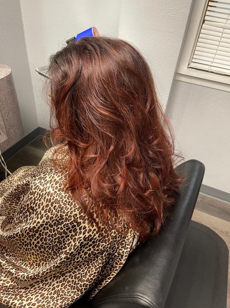 Wash and Set/Style CC