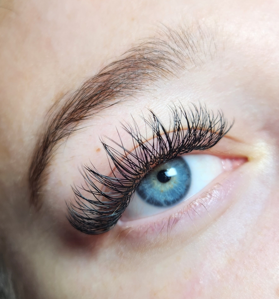 Wipsy Y Lashes