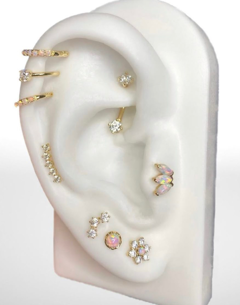 Ear Styling Consultation at Dollface Ink & Piercing in Springdale, AR