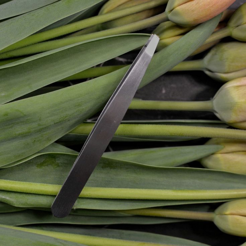 Brow Tweeze at Bloom Beauty Bar in Camas, WA