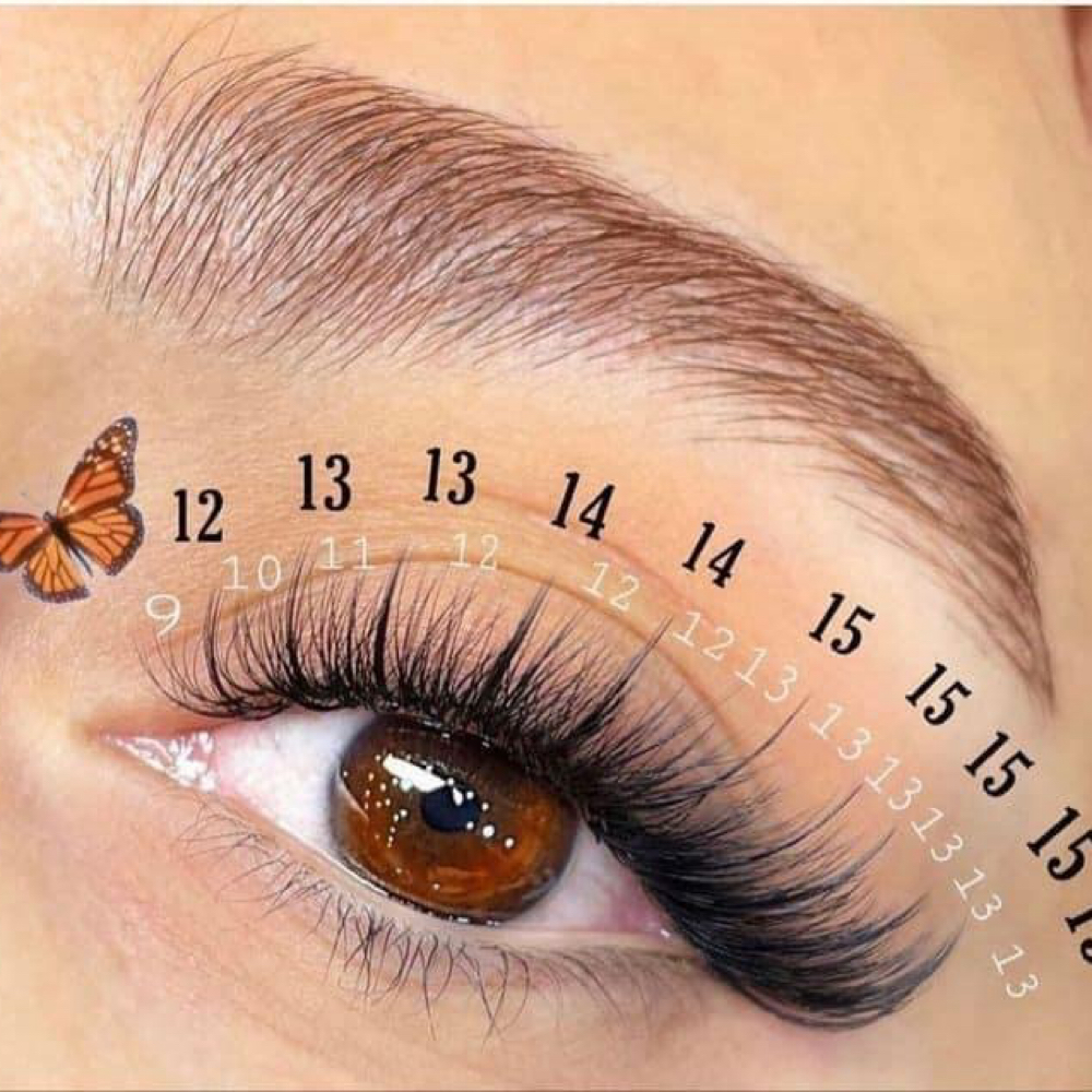 Vip Lash Membership at Mary Brows & Lashes in Los Gatos, CA