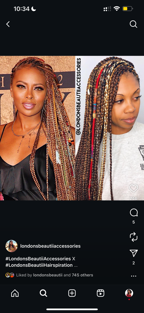 Small Box Braids (Eva Marcille Inspired)