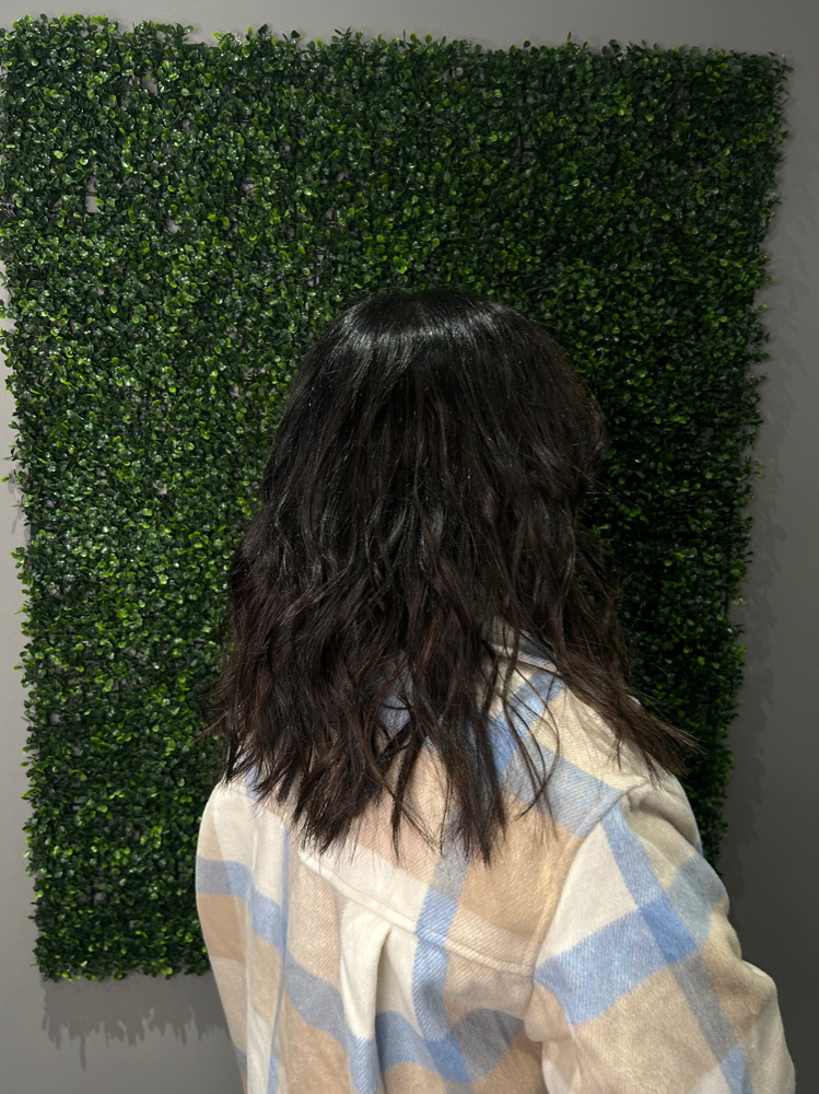 Hair Wash & Style at The Cosmetology Bar in Maplewood, MN