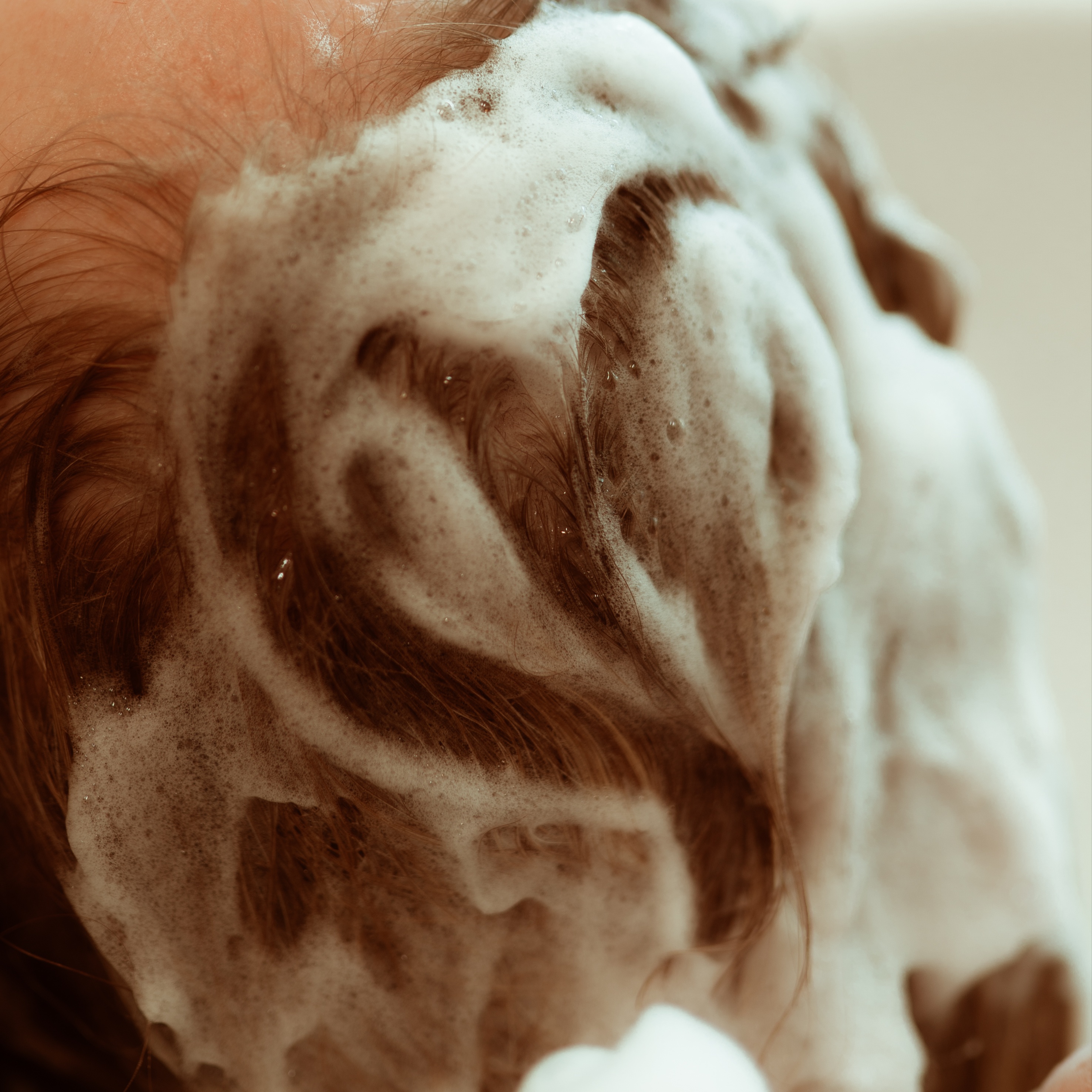 The Repair + Blowout at Abigail the Hairstylist in Shenandoah, TX