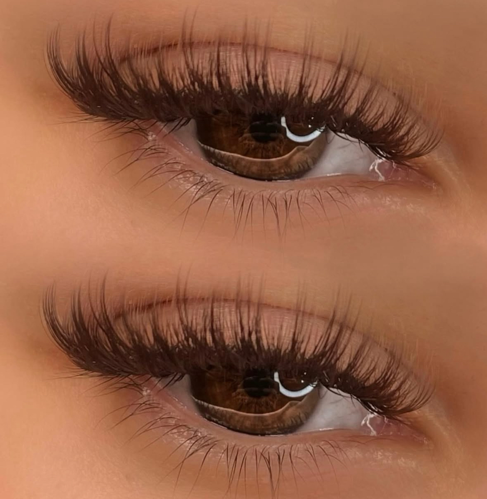 ALL BROWN FULL SET