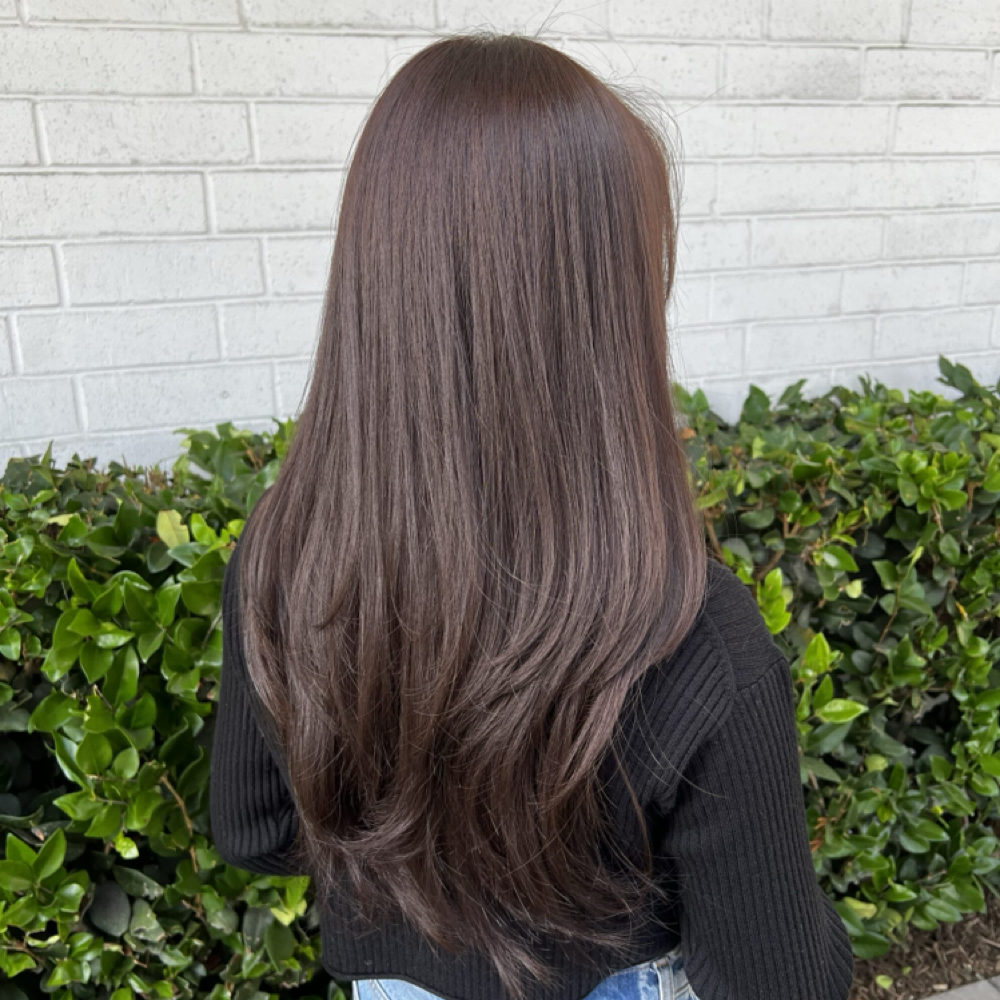 Root Retouch Package at Hair by Rachel Mae in Olympia, WA