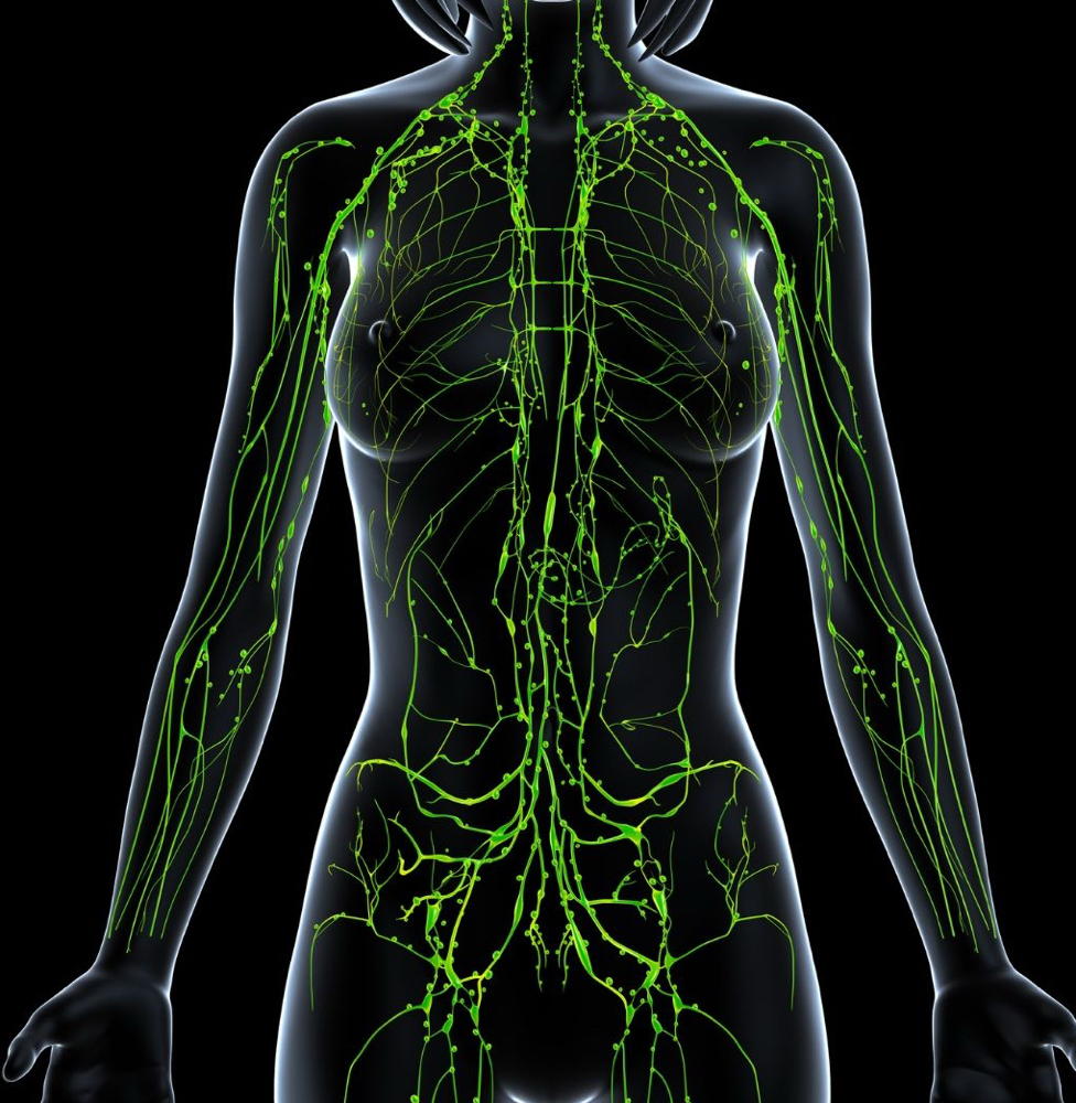 Lymphatic Massage