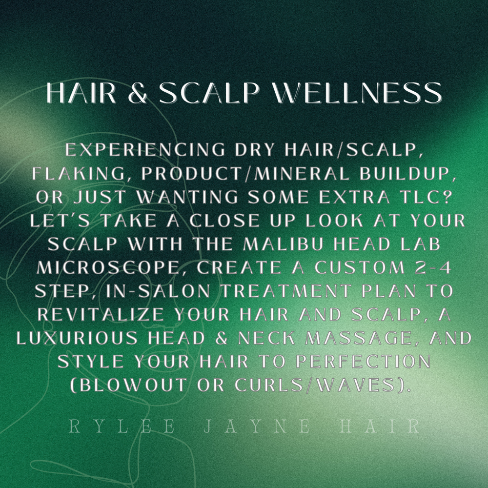 Hair & Scalp Wellness Service