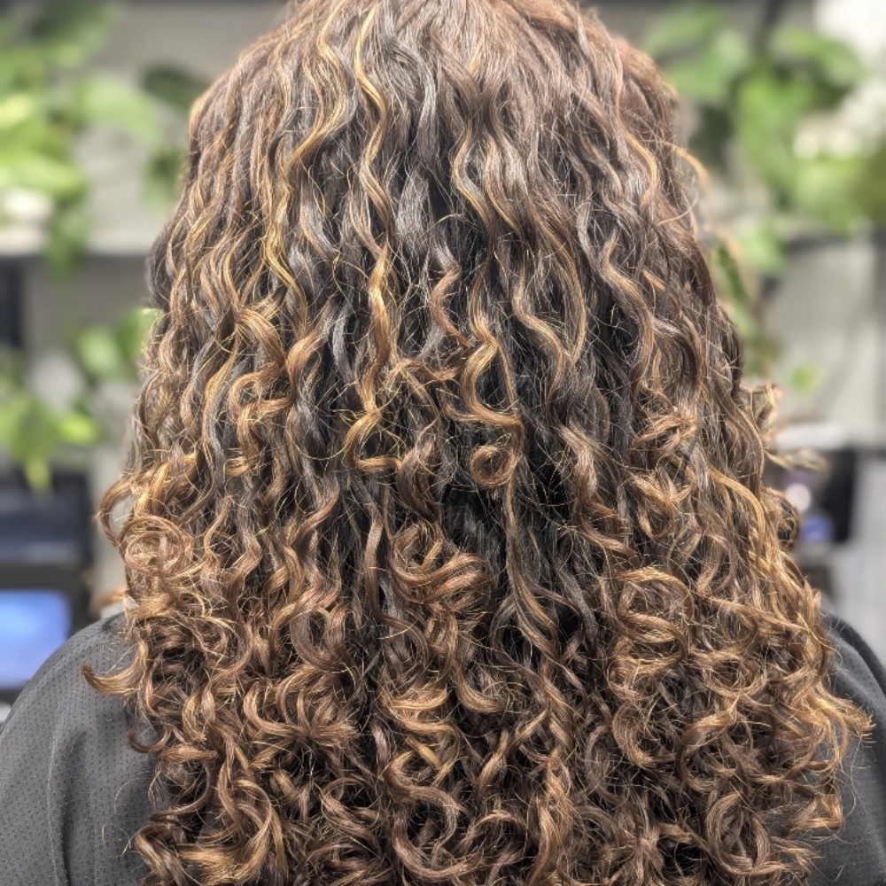 Base Color With Dimension at Elevated Curls in Colorado Springs, CO