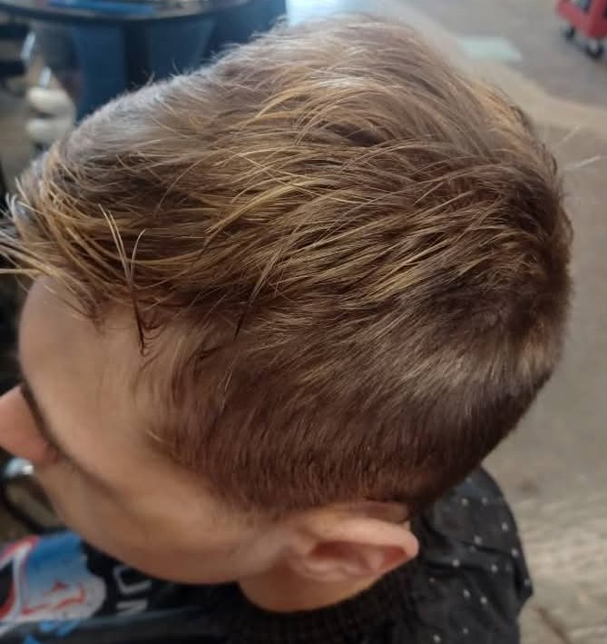 Clipper Cut