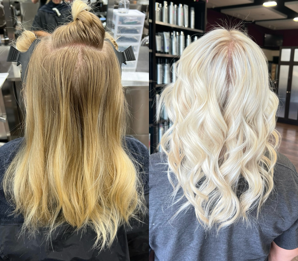 Full Highlight