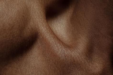 chest / tummy wax