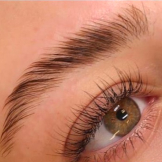 Brow Lamination ONLY at B-Lashed Beauty & Bridal Bar in Dallas, TX