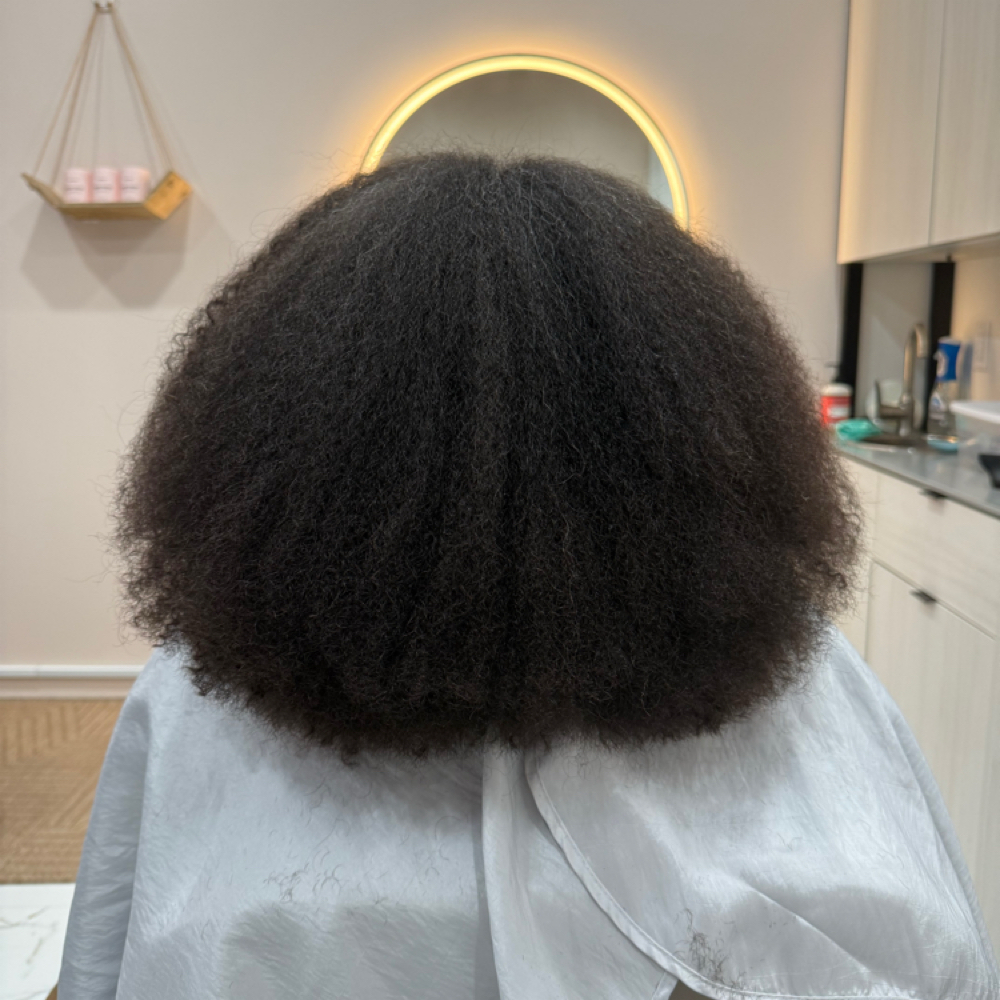 ❀ Maintenance Trim at FRO Curly Hair Salon in Plano, TX