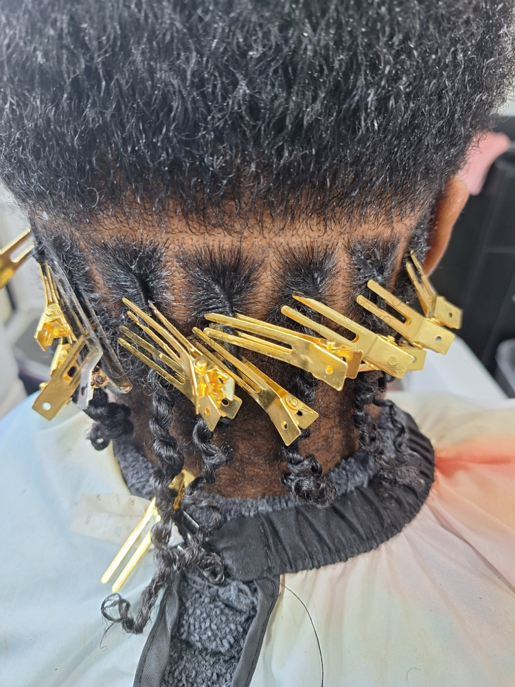 Starter Locs
