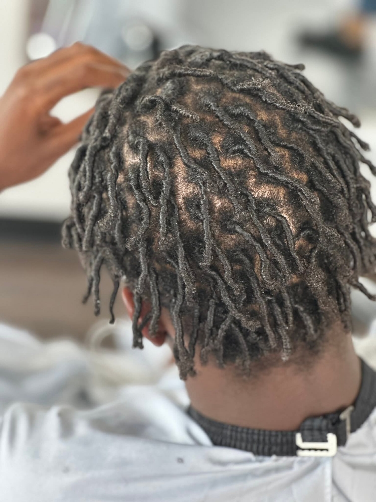 Starter Locs