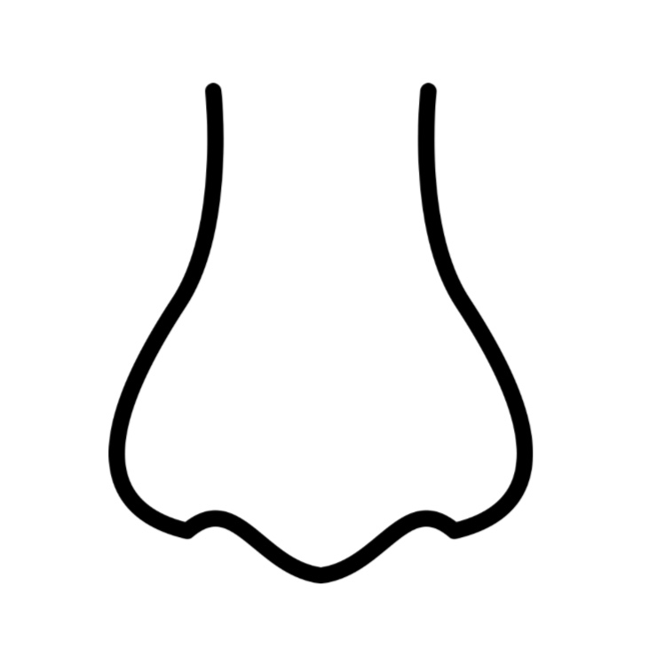 Nostrils