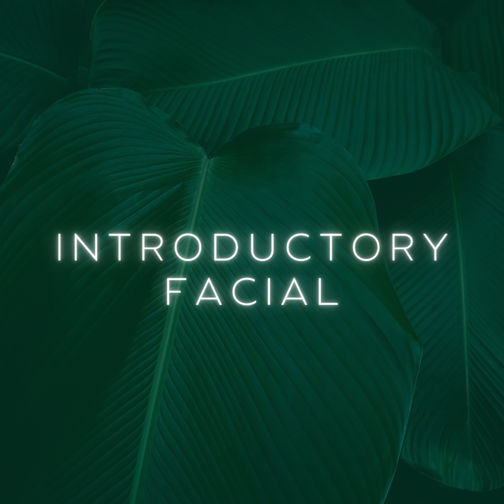 Introductory Facial at Femme Lab Esthetics in Chicago, IL