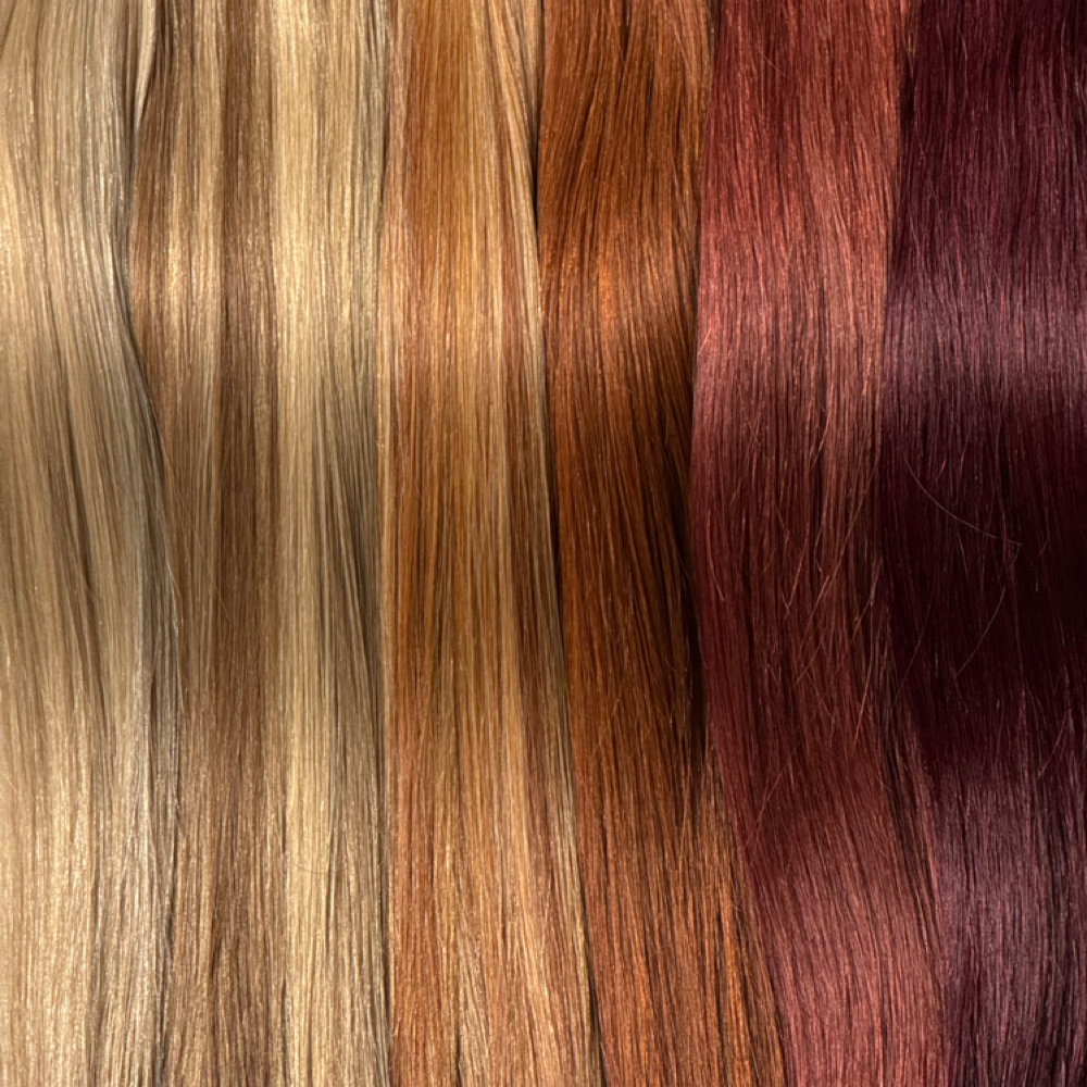 Complimentary Color Swatch Match at Evolution 'Aire Salons in Houston, TX