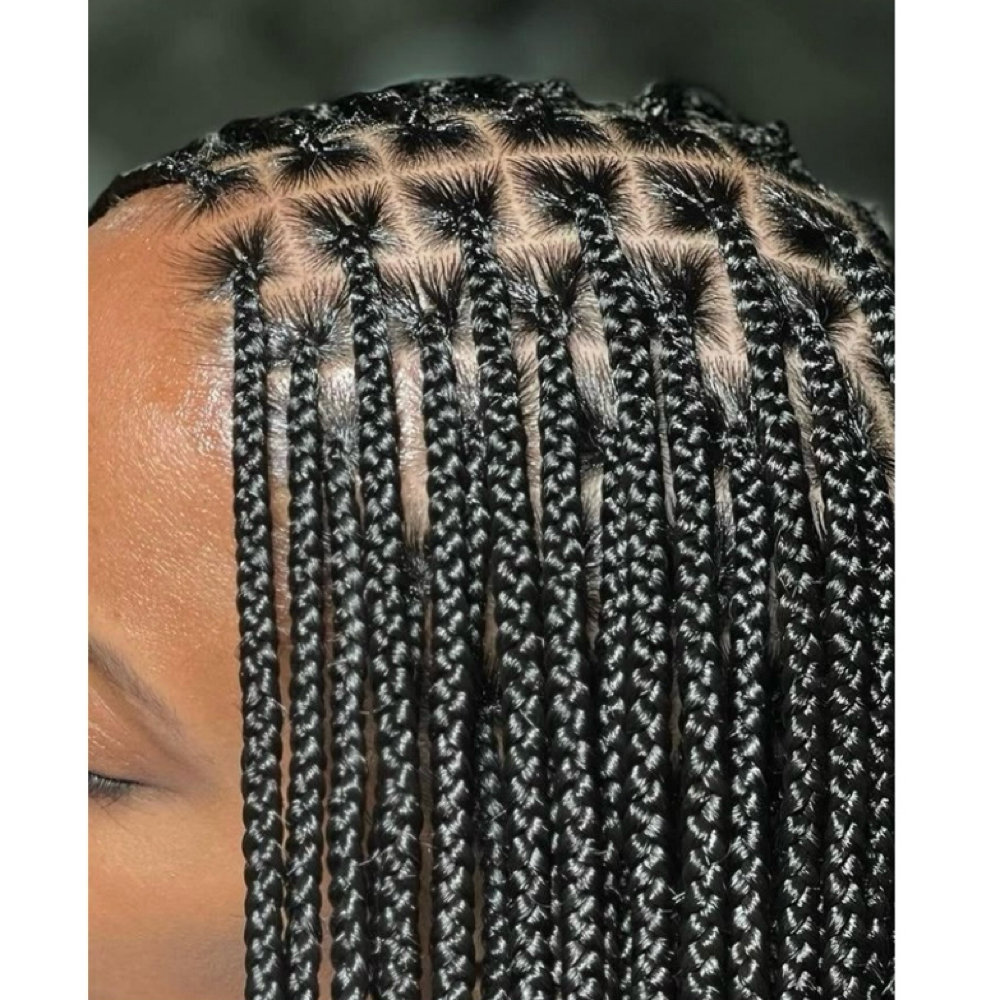 Small Knotless Or box Braid at Marcelle Crown Studio in Pantego, TX