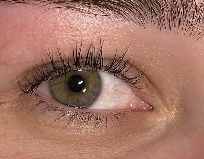 Lash Lift w/o Tint