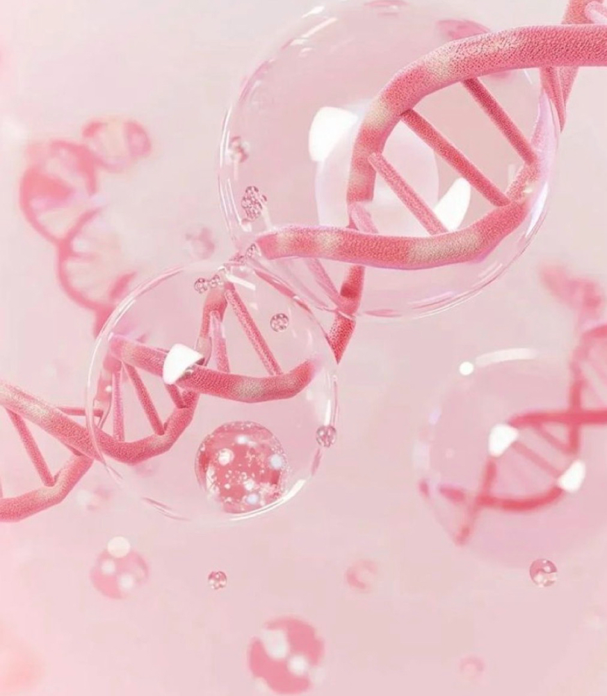 PDRN Treatment/ Salmon DNA