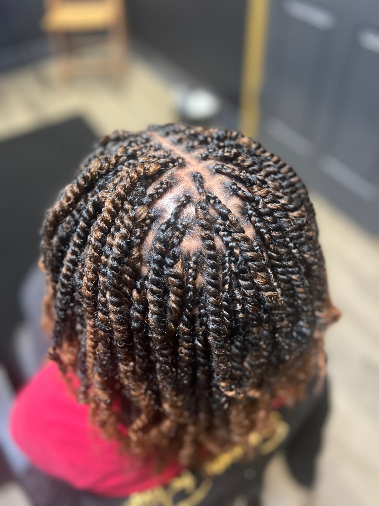 Mini Twist (Summer Special)