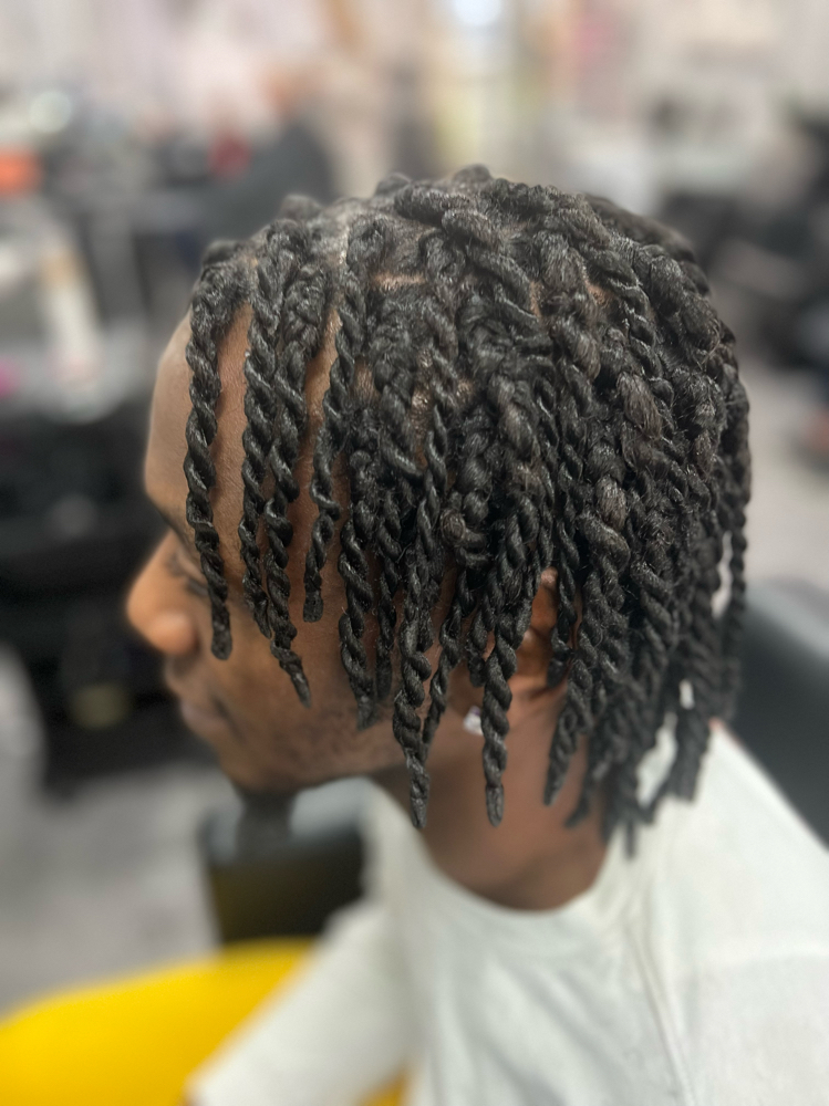 Mens Two Strand Twists