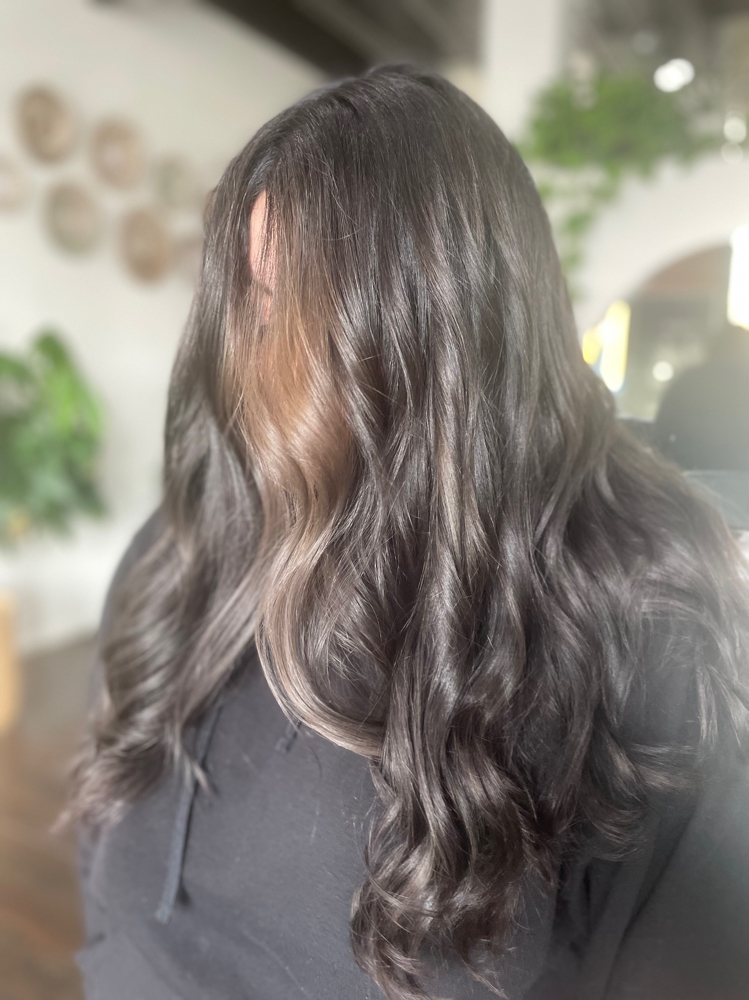 Base Color/Root Shadow W/ Hilights