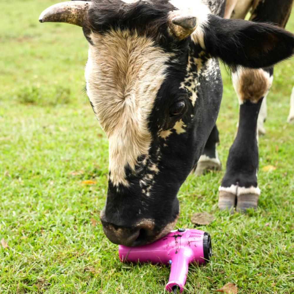 Blowout & Style at Teased By Tissy in Hemingway, SC