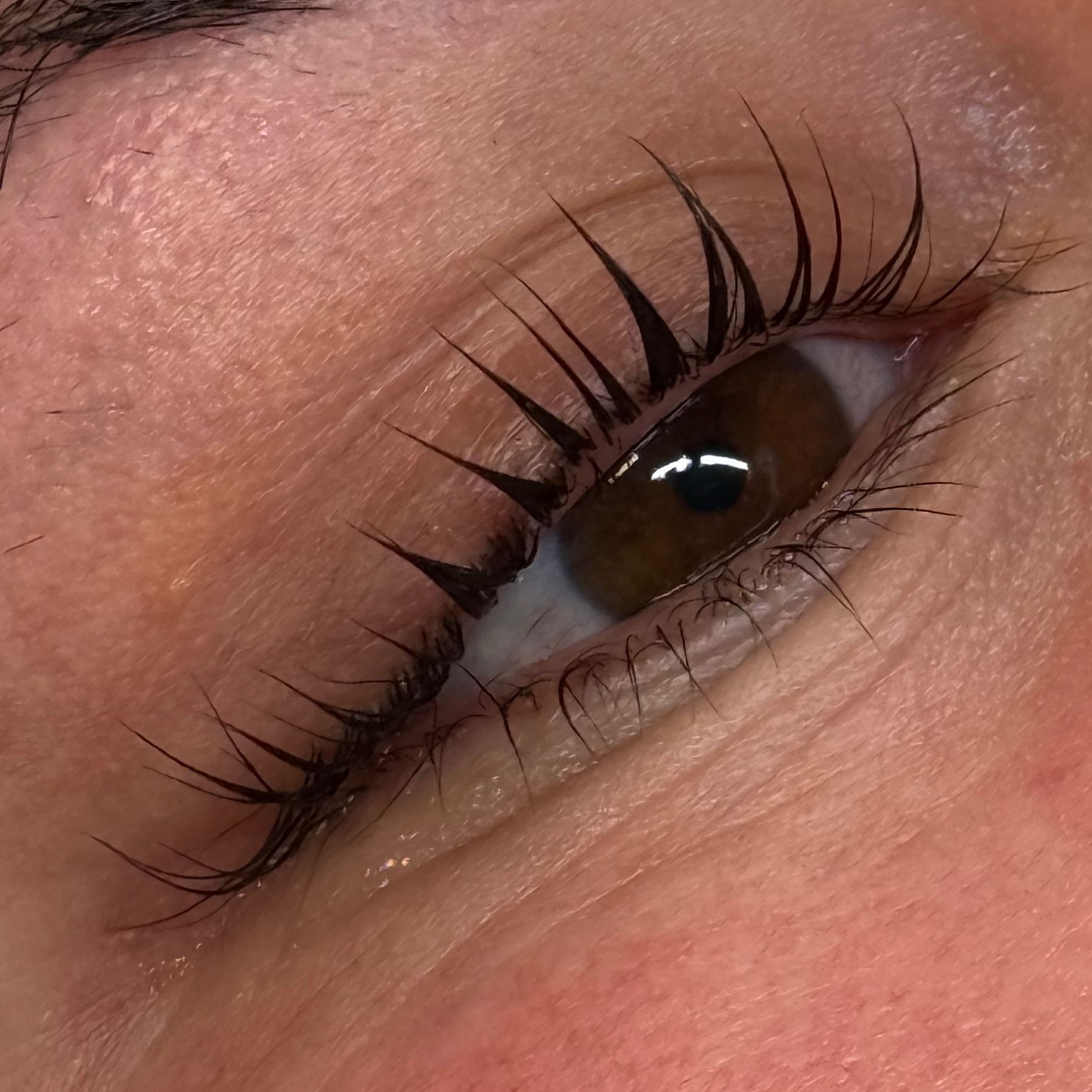 Lash Tint at Artistry by Lucy in Fairfax, VA