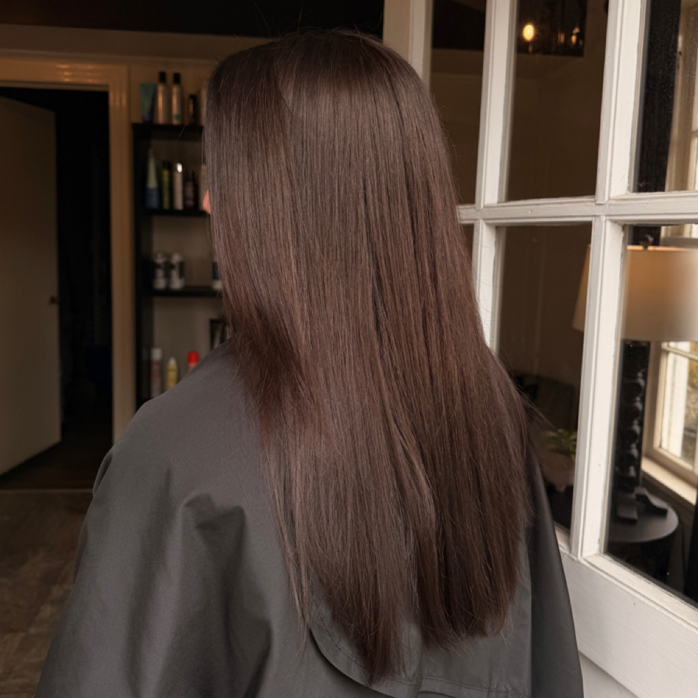 All Over Color at Hair by Webb in Tupelo, MS