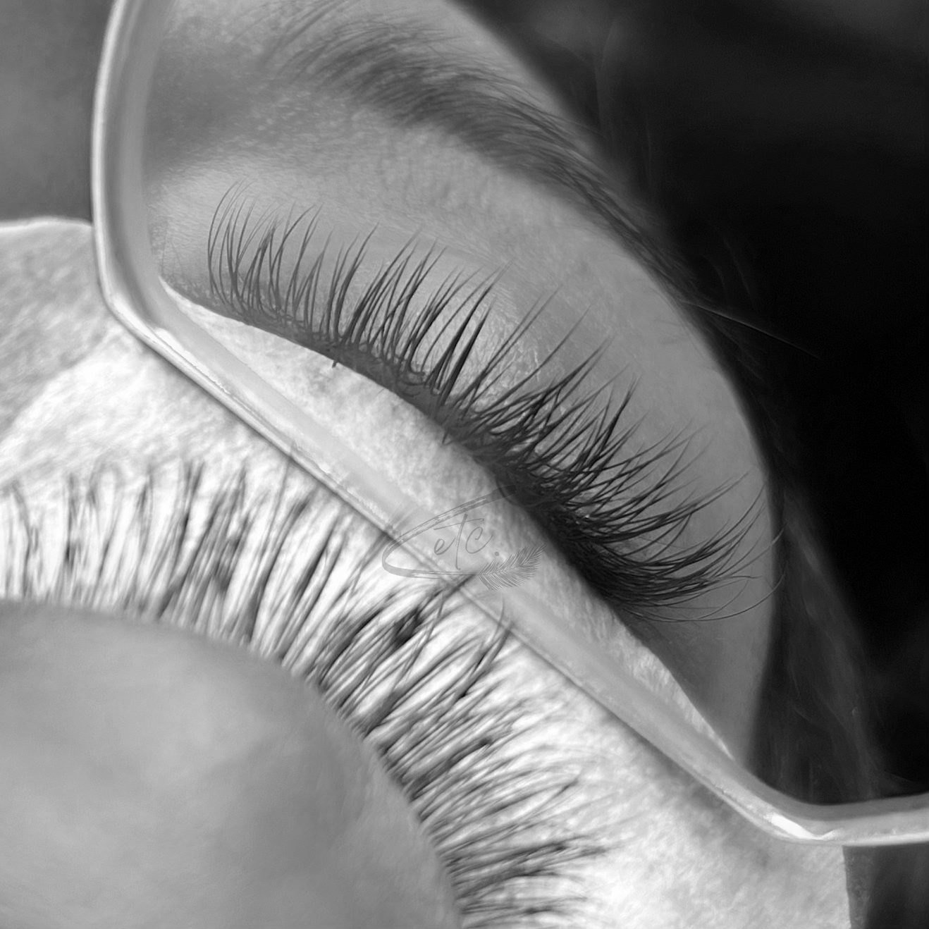 Individual Lash Fill