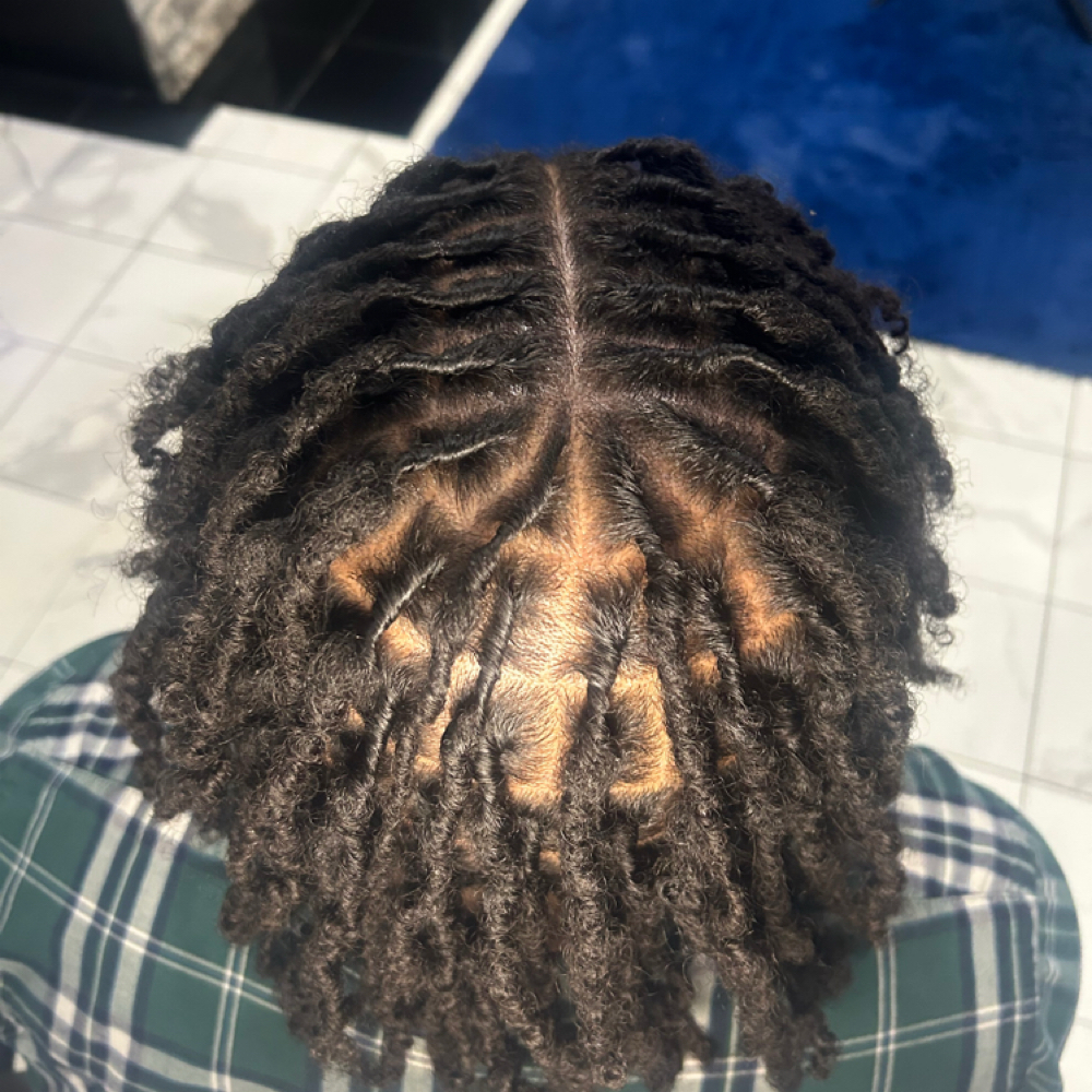 Retwist at The Braid Society in Olive Branch, MS