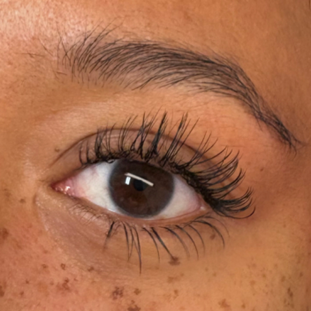 bottom lashes at Lillian Claire Lash & Brow in Portland, ME