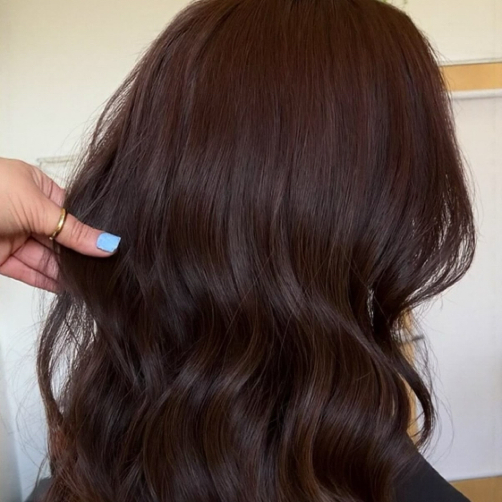 All over Color Or Root Touch Up at Flor De Mayo in Marion, NC