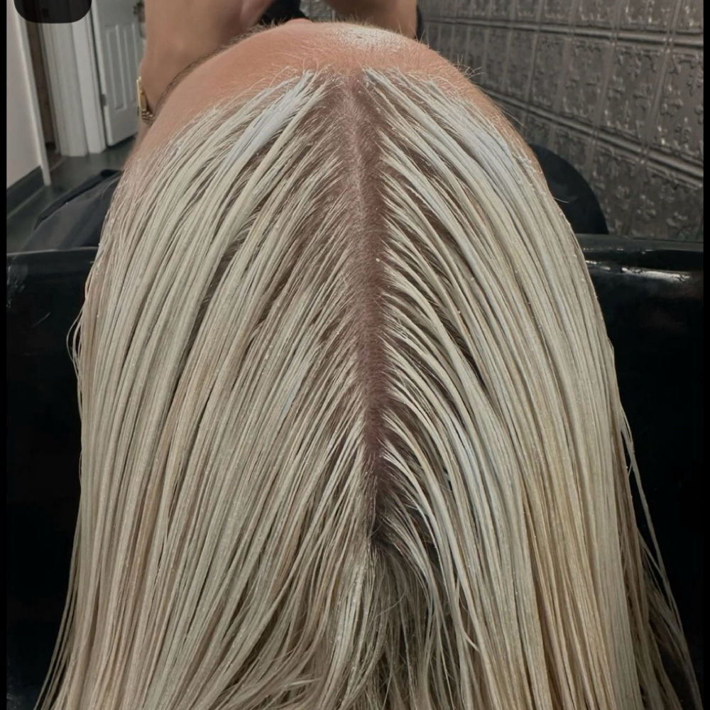 The Full at By Kate Coiner in Gainesville, FL