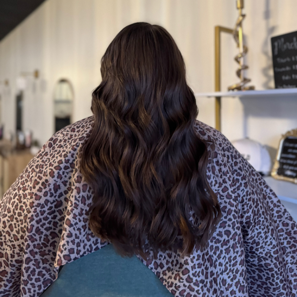 Roots Only ( Color Only ) at Hair By Ana in Somerset, KY