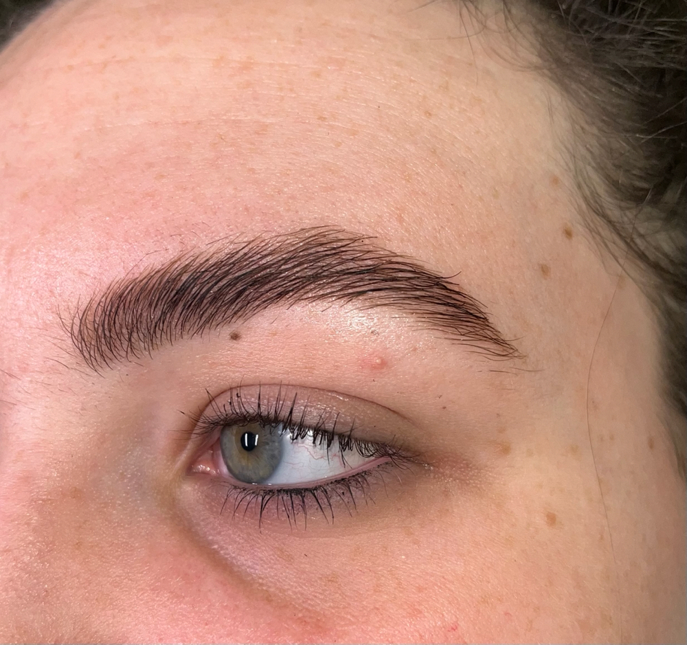 Brow Lamination + Stain