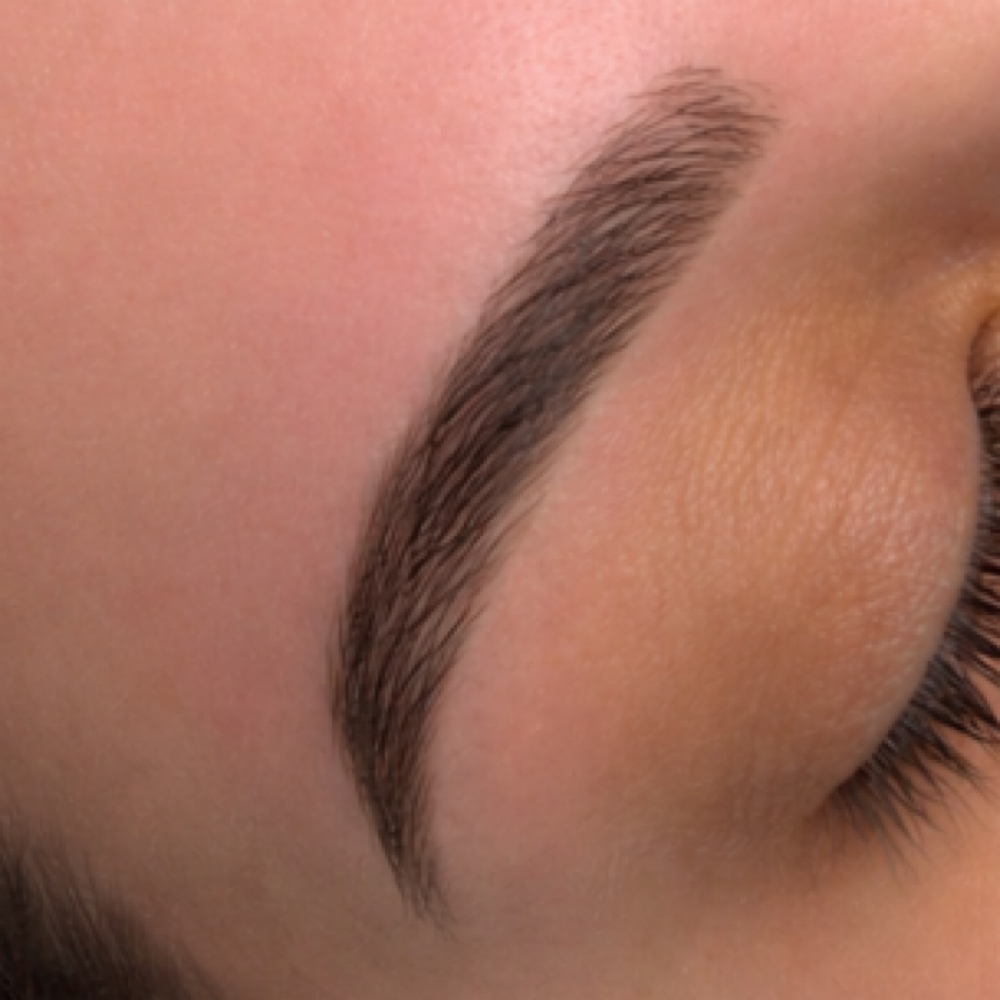 Brow Wax, Shape, And Tint at Ashley Elizabeth Salon in Salem, MA