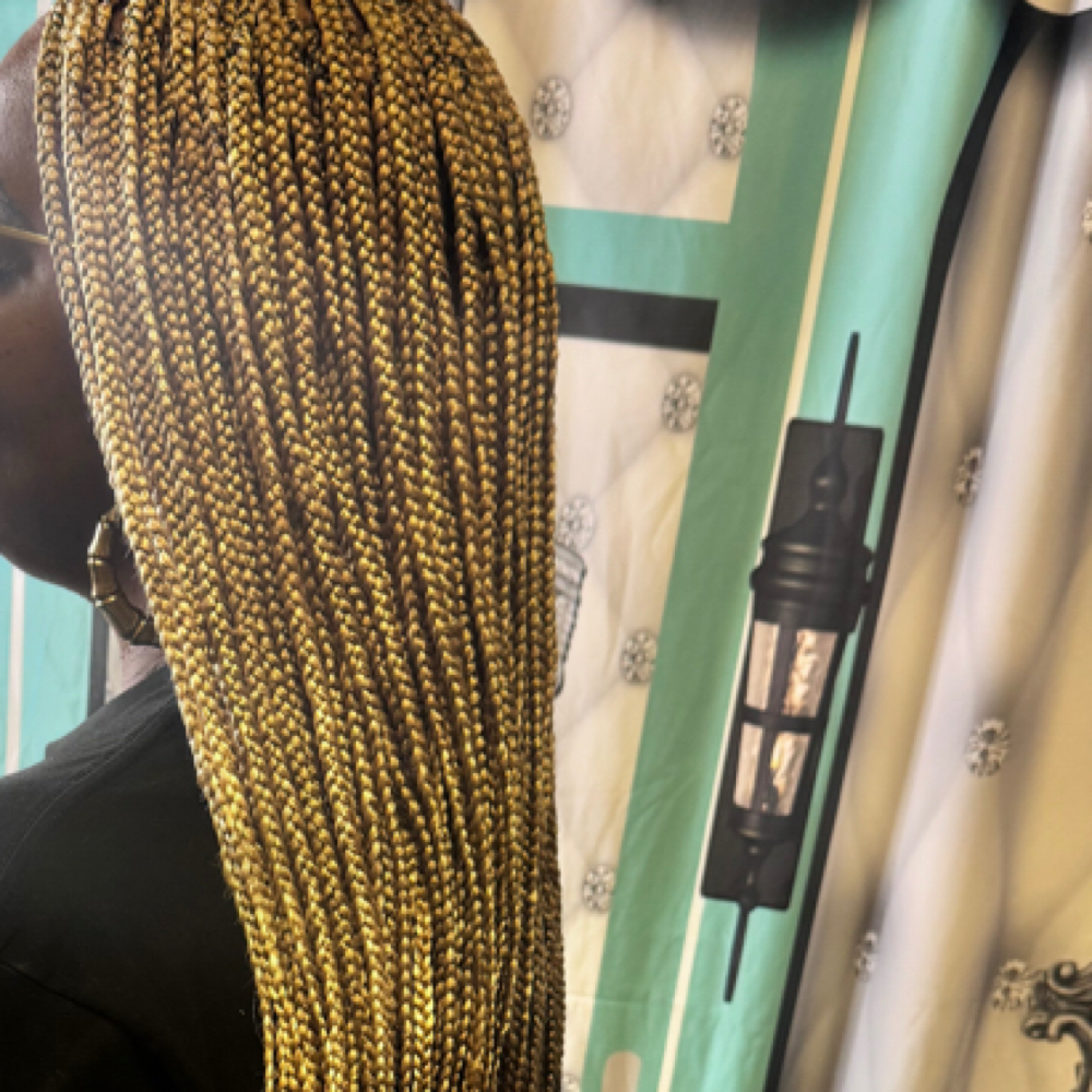 Small “Box Braids” at Akennas Braids in Chesapeake, VA