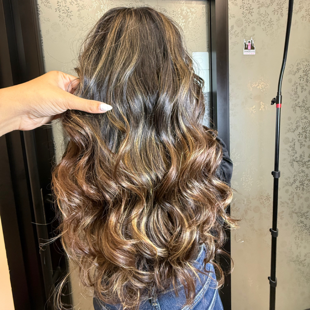 Blowdry + Curls or Flatiron at Shammi’s Hair Studio in Troy, MI