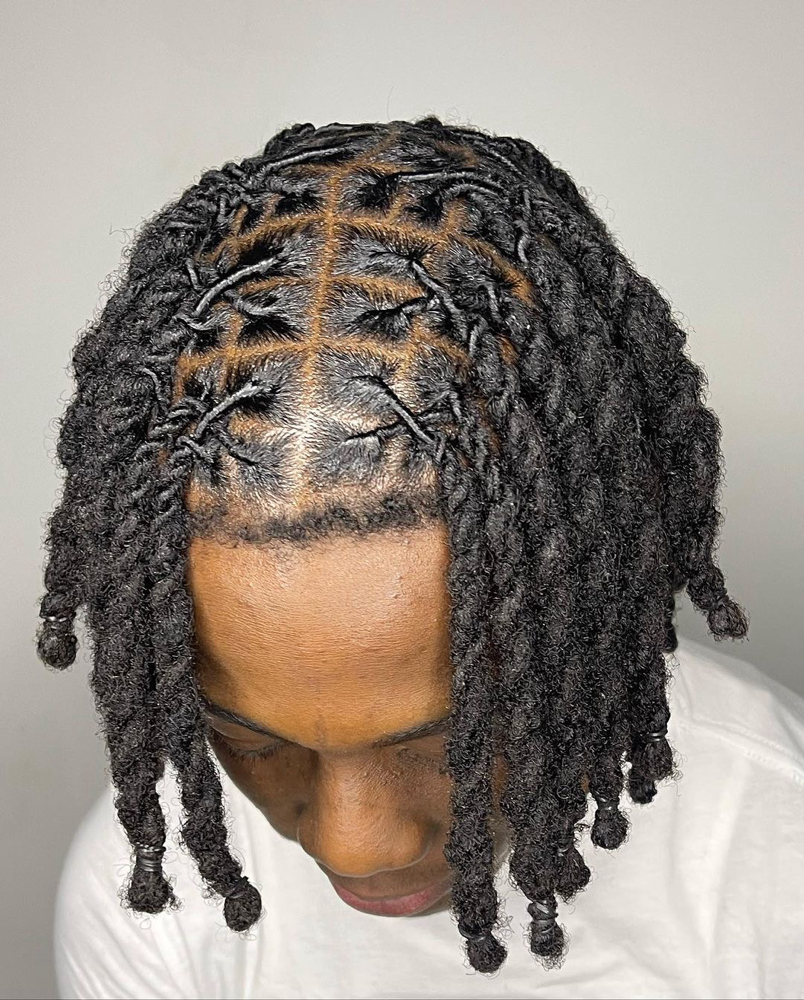 Two Strand Twist